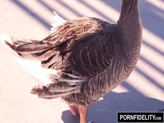 Schwarze Latina fickt weißen Schwanz